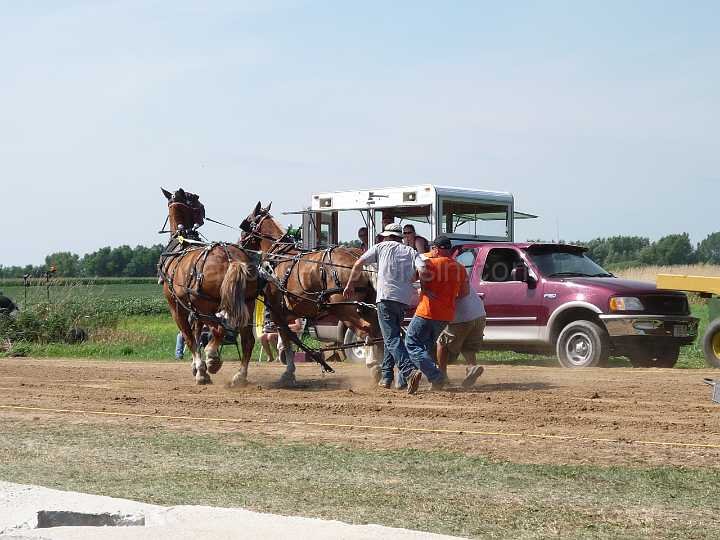 alto-fair-horse-pull-2009-232