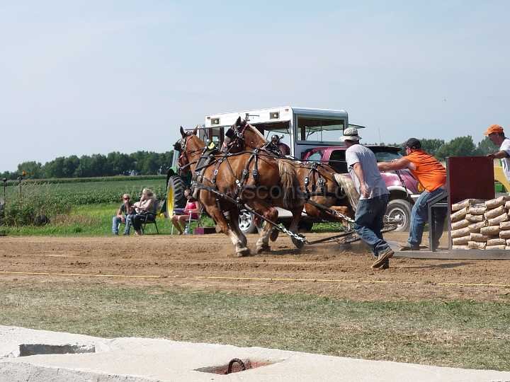 alto-fair-horse-pull-2009-238