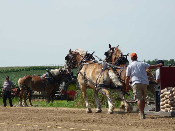alto-fair-horse-pull-2009-251