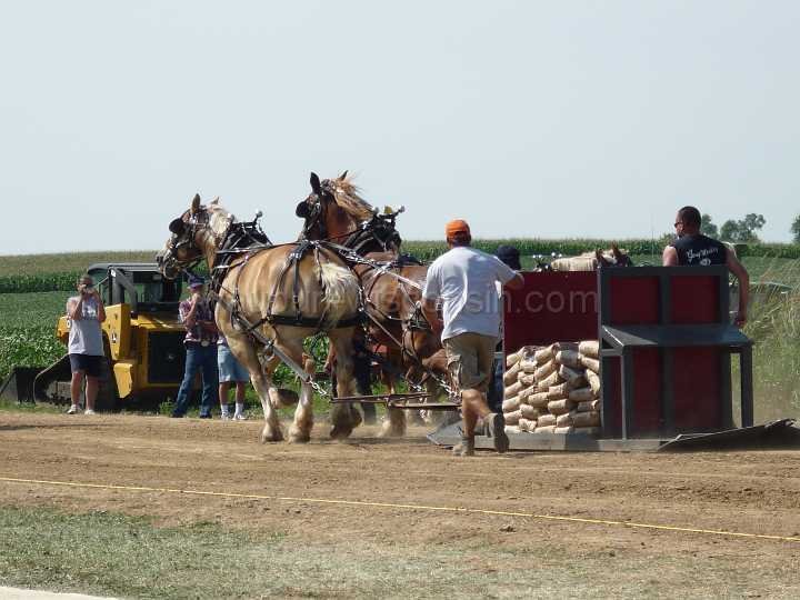 alto-fair-horse-pull-2009-257