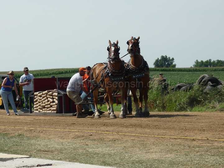 alto-fair-horse-pull-2009-264
