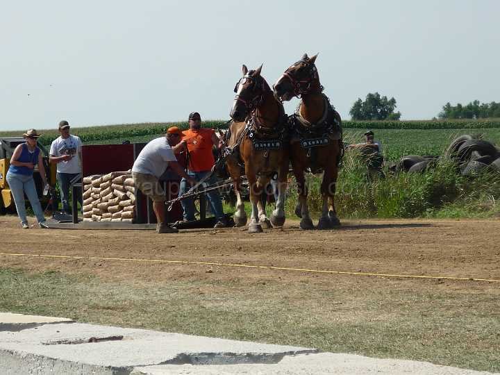 alto-fair-horse-pull-2009-268