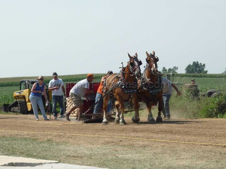 alto-fair-horse-pull-2009-275
