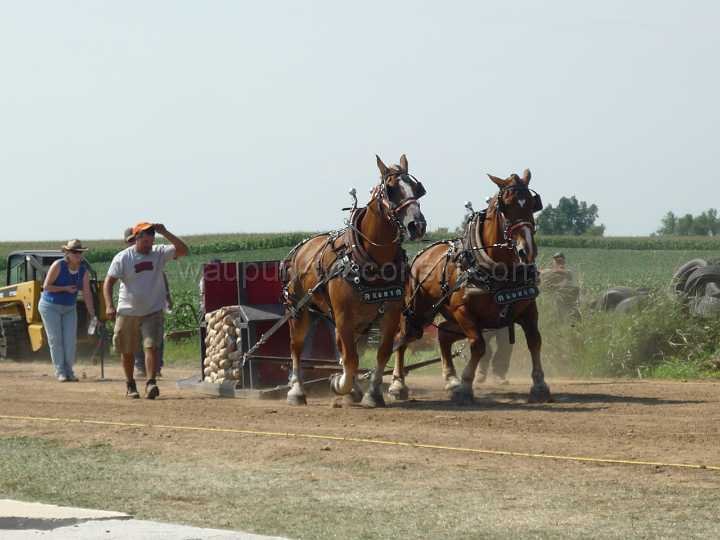 alto-fair-horse-pull-2009-278