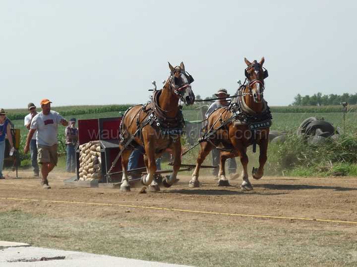 alto-fair-horse-pull-2009-279