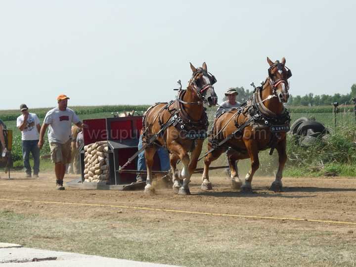 alto-fair-horse-pull-2009-280