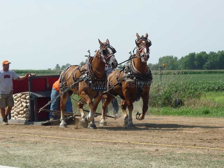 alto-fair-horse-pull-2009-282