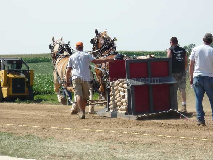 alto-fair-horse-pull-2009-288