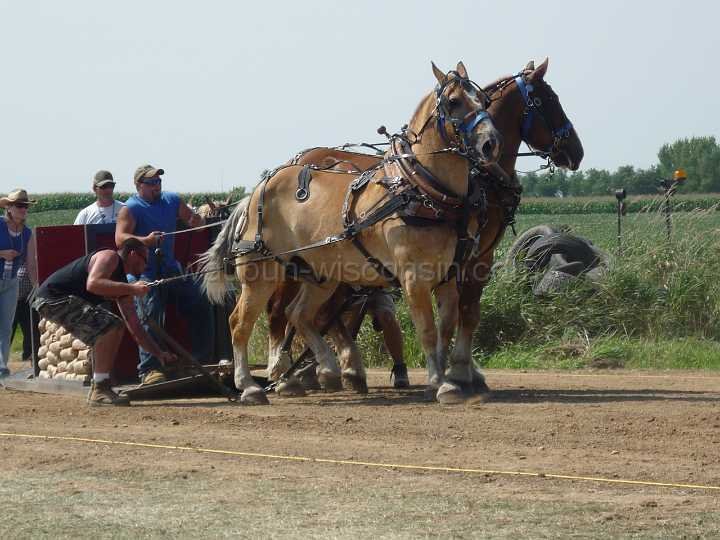 alto-fair-horse-pull-2009-293