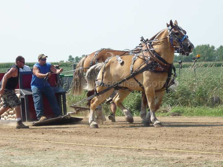 alto-fair-horse-pull-2009-294