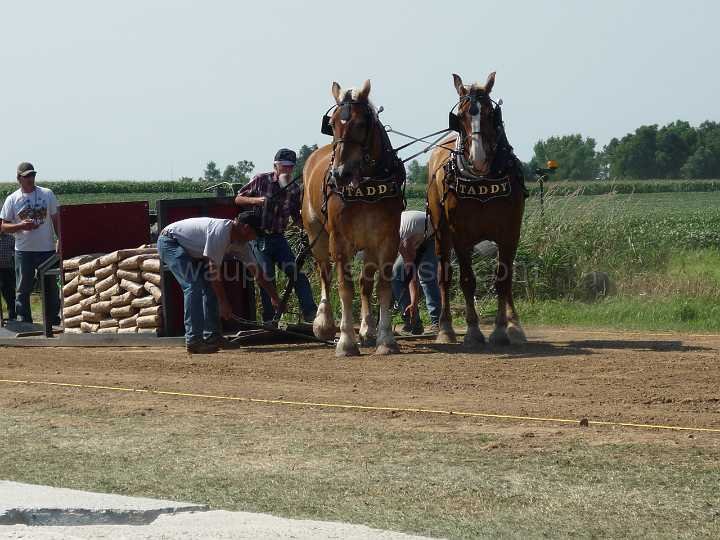 alto-fair-horse-pull-2009-299