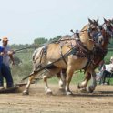 alto-fair-horse-pull-2009-201