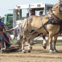 alto-fair-horse-pull-2009-206
