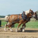 alto-fair-horse-pull-2009-221
