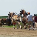 alto-fair-horse-pull-2009-252