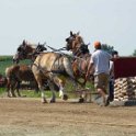 alto-fair-horse-pull-2009-253