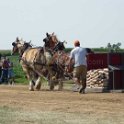 alto-fair-horse-pull-2009-256