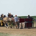 alto-fair-horse-pull-2009-258