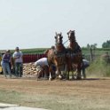 alto-fair-horse-pull-2009-274