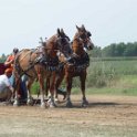 alto-fair-horse-pull-2009-286