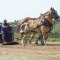 alto-fair-horse-pull-2009-294