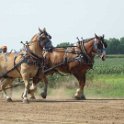 alto-fair-horse-pull-2009-296