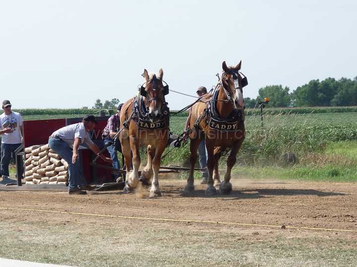alto-fair-horse-pull-2009-301
