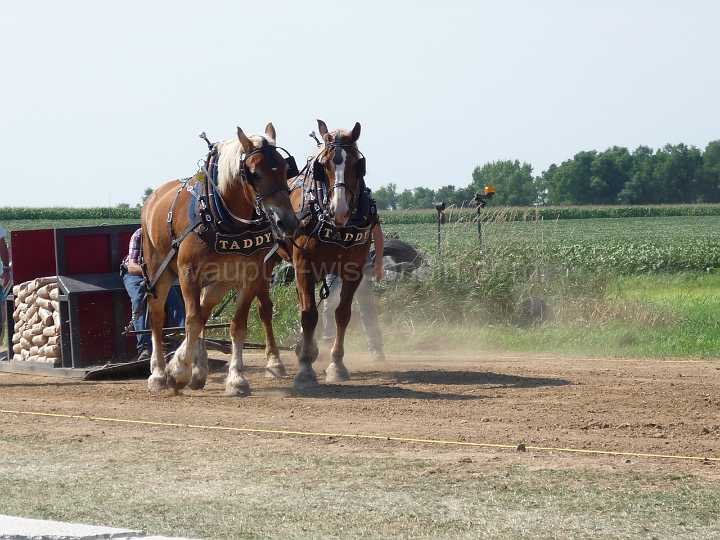 alto-fair-horse-pull-2009-303
