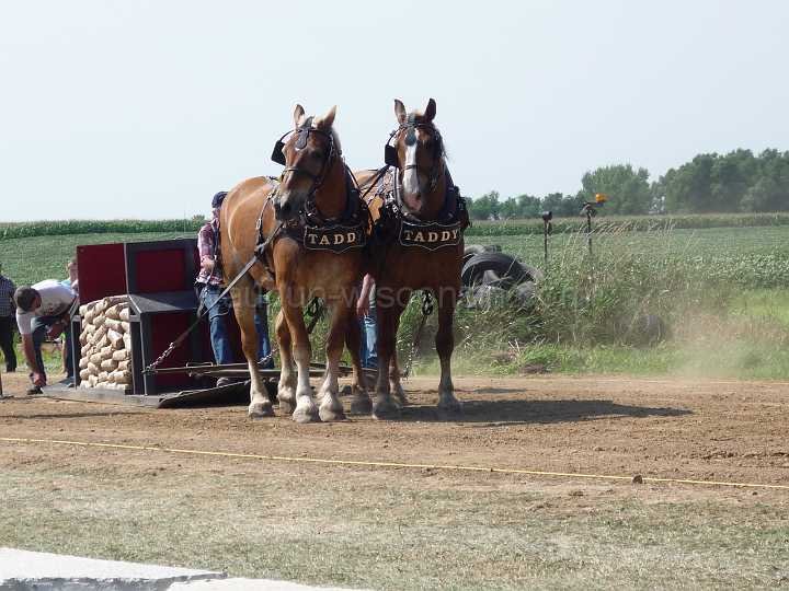 alto-fair-horse-pull-2009-305