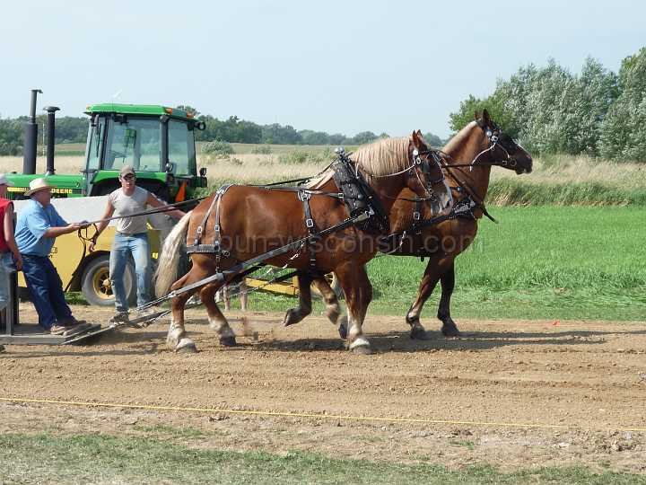 alto-fair-horse-pull-2009-314