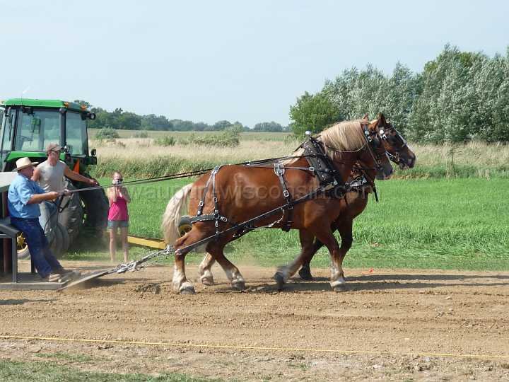 alto-fair-horse-pull-2009-315