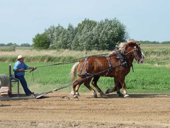 alto-fair-horse-pull-2009-317