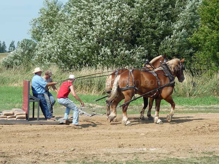 alto-fair-horse-pull-2009-323