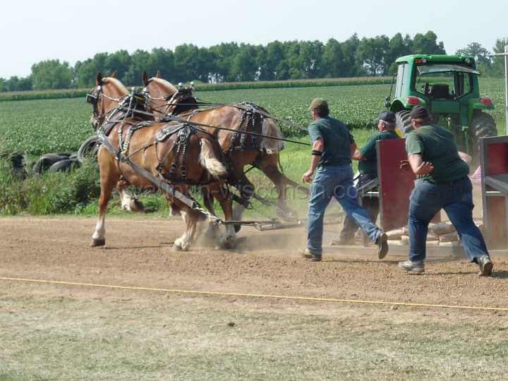 alto-fair-horse-pull-2009-346