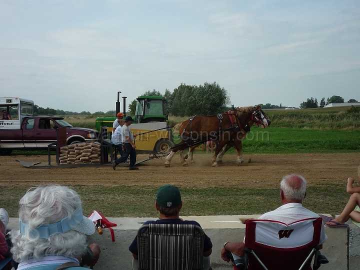 alto-fair-horse-pull-2009-354