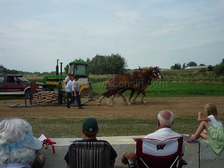 alto-fair-horse-pull-2009-355