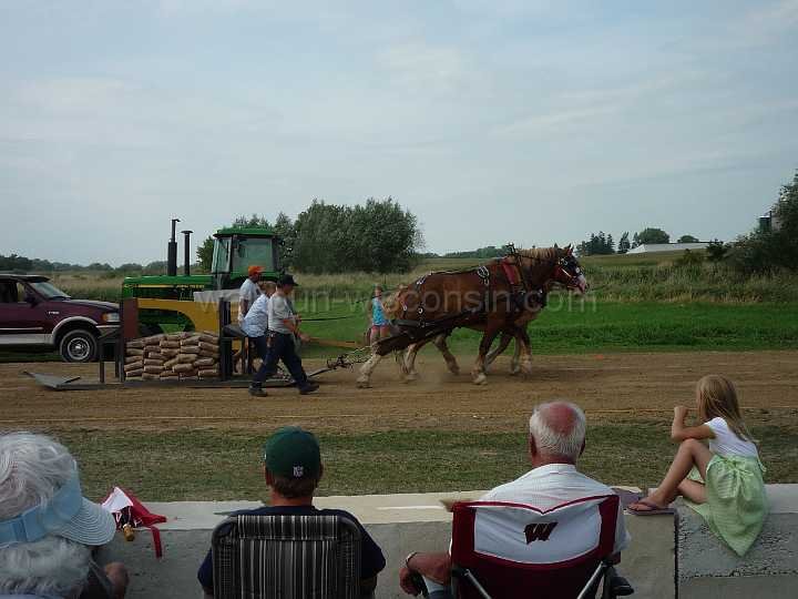 alto-fair-horse-pull-2009-356