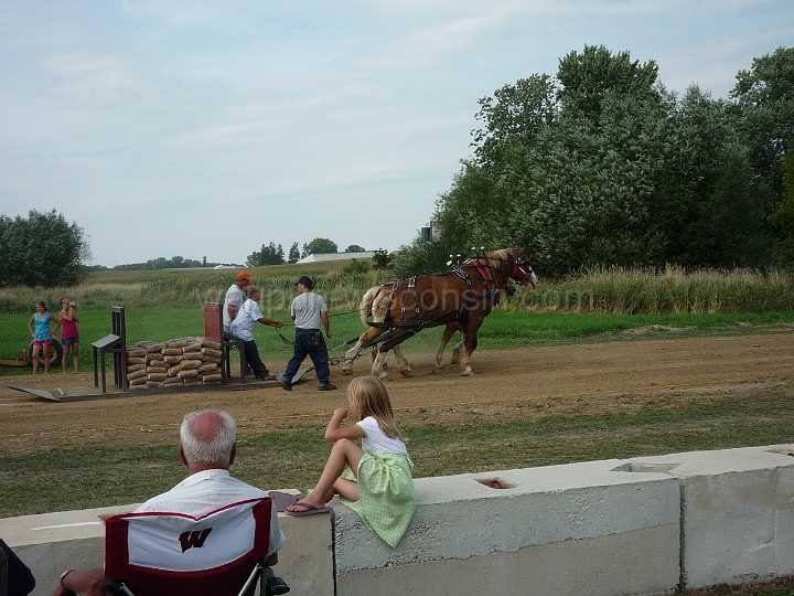 alto-fair-horse-pull-2009-364