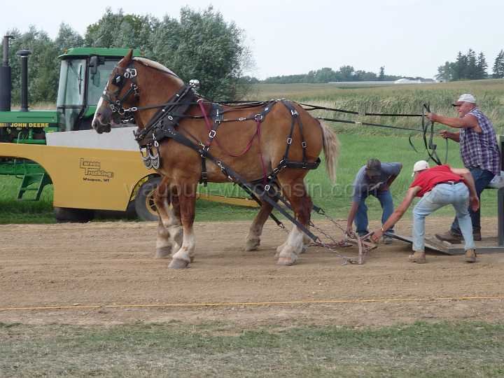 alto-fair-horse-pull-2009-367