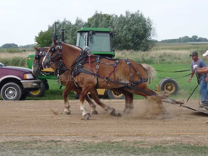 alto-fair-horse-pull-2009-370