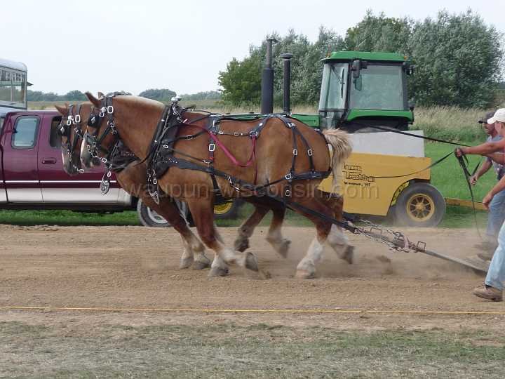 alto-fair-horse-pull-2009-372