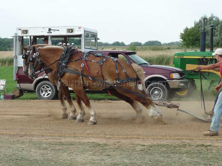 alto-fair-horse-pull-2009-374