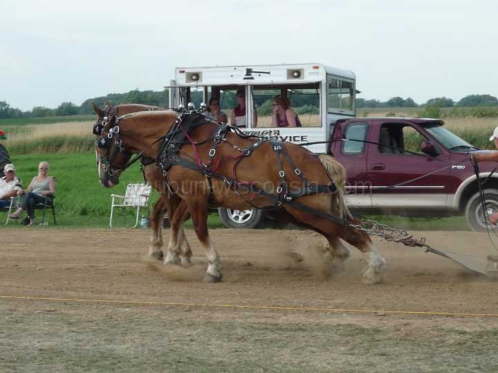 alto-fair-horse-pull-2009-375