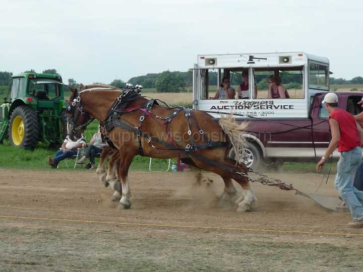 alto-fair-horse-pull-2009-376