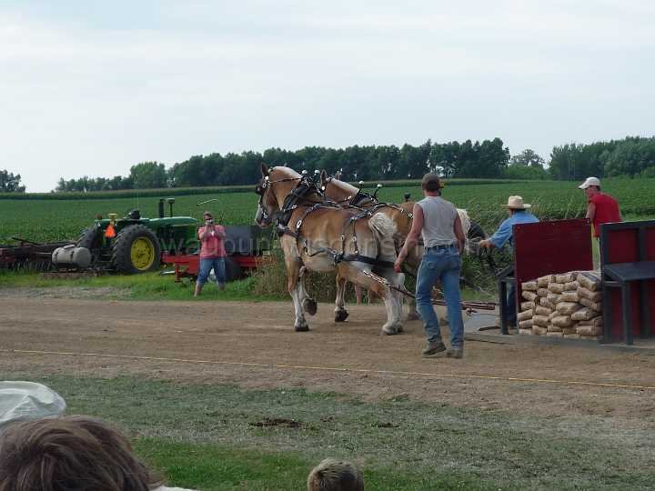 alto-fair-horse-pull-2009-388