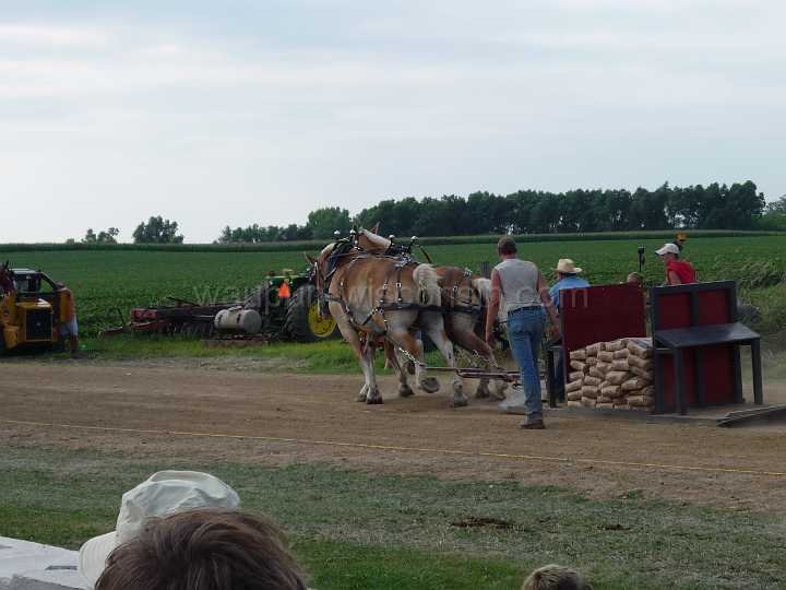 alto-fair-horse-pull-2009-391