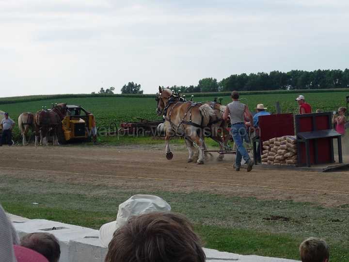 alto-fair-horse-pull-2009-393