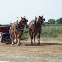 alto-fair-horse-pull-2009-302