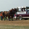 alto-fair-horse-pull-2009-307