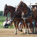 alto-fair-horse-pull-2009-308